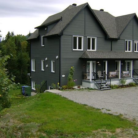 Vue Sur La Montagne Vila LʼAnse-Saint-Jean Exterior foto
