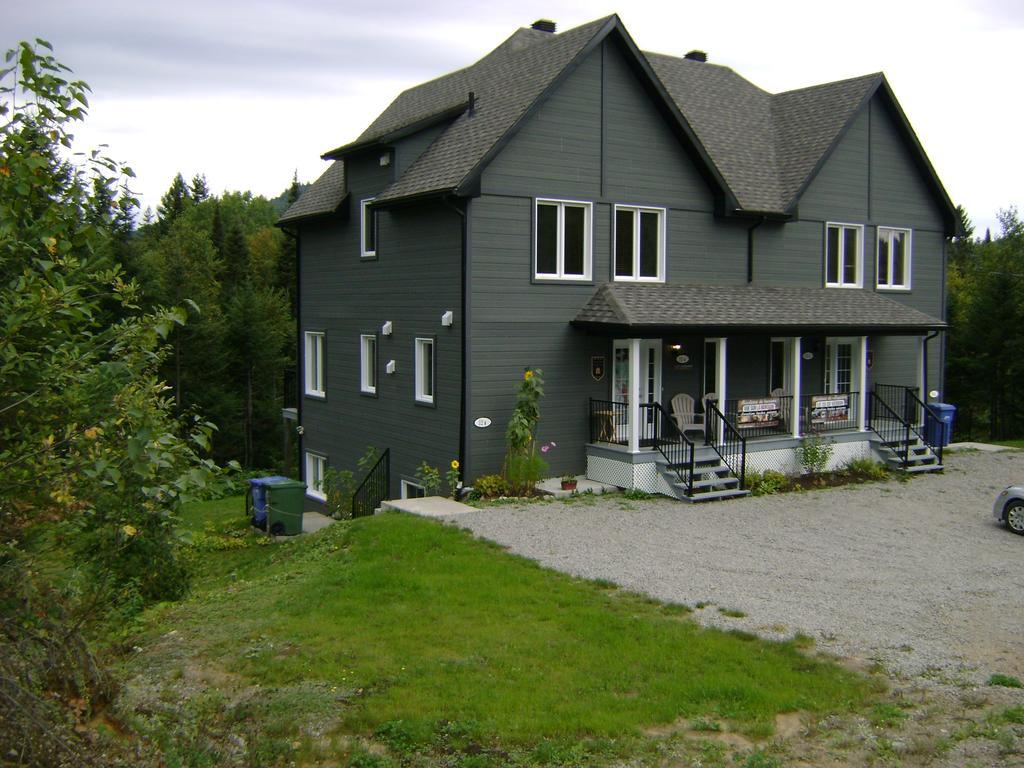 Vue Sur La Montagne Vila LʼAnse-Saint-Jean Exterior foto